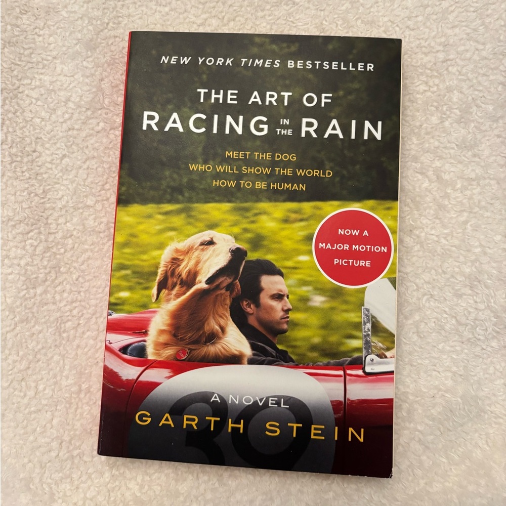 The art of racing in the rain book